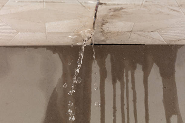 Professional Structural Drying technician working in Cloverdale, CA